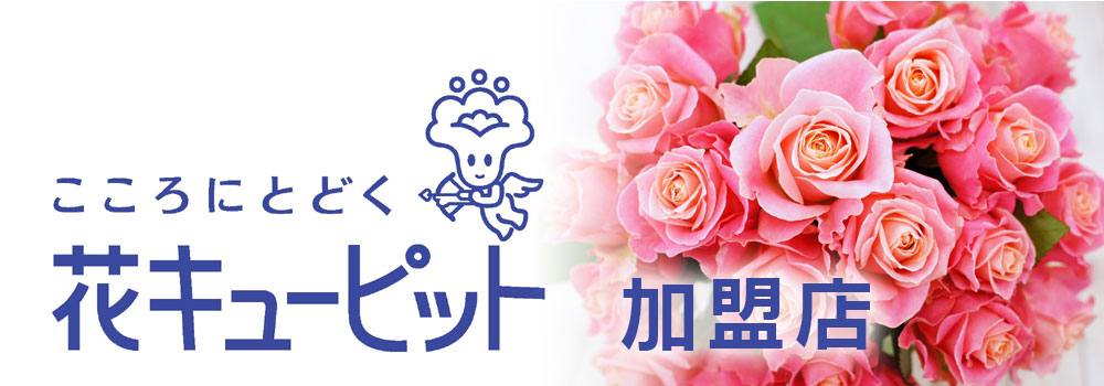 きてみんね元船！ 元船町商店街