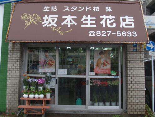 きてみんね元船！ 元船町商店街